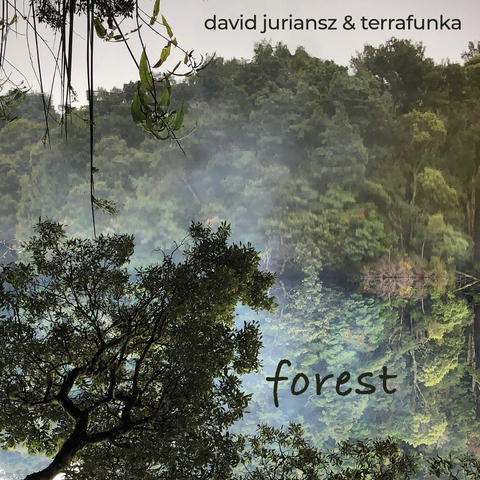 David Juriansz & Terrafunka - Forest
