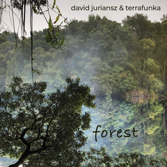 David Juriansz & Terrafunka - Forest