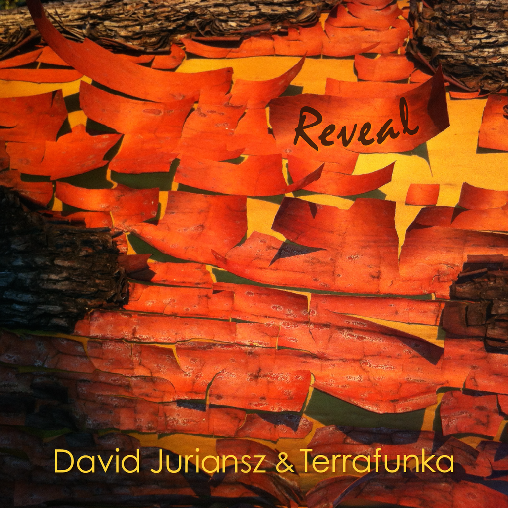 David Juriansz & Terrafunka - Reveal
